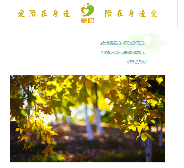 秋清歲即晚，吾道終何成？--共享陪護(hù)床為何而生